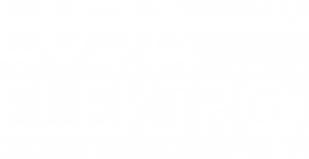 Wortmarken-Logo von LUDA ELEKTRO. 